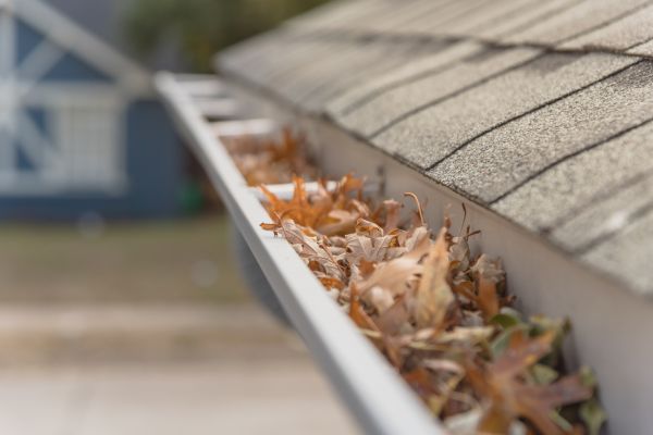 Leaf Barrier Installation in Smyrna